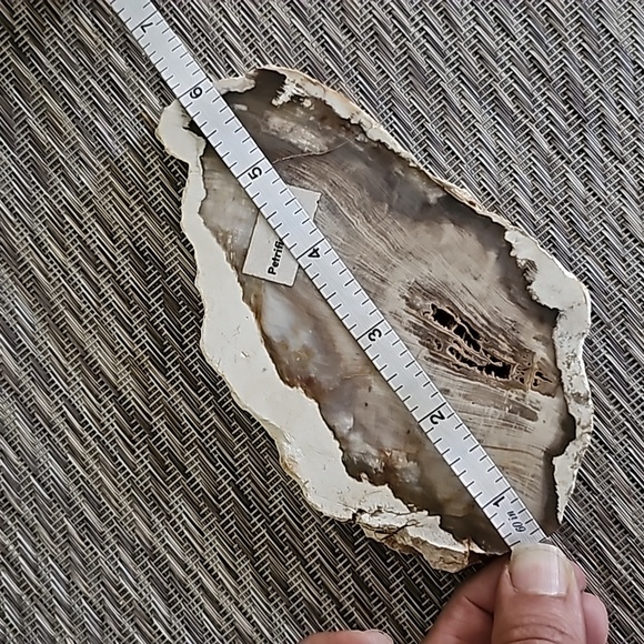 DUSKY PETRIFIED WOOD Slice, Stone Plate, Petrified Wood - Picture 8 of 9
